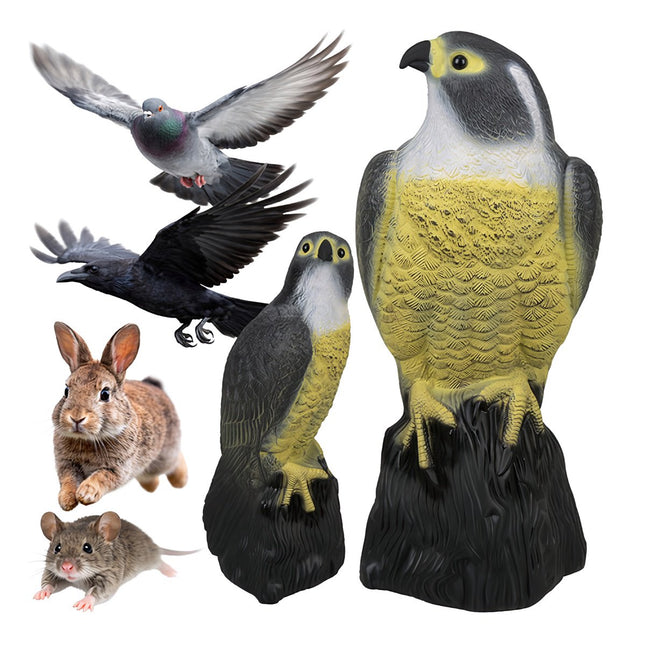 Effaroucheur d'oiseaux - faucon 23421