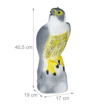 Un oiseau effraie un faucon assis