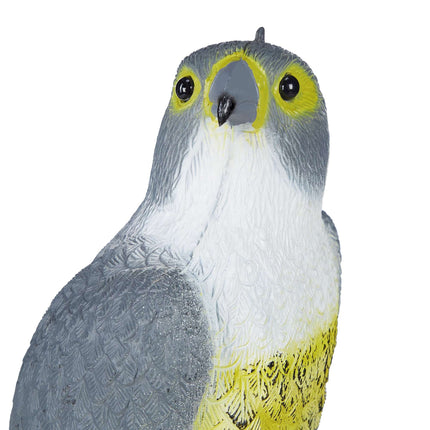 Un oiseau effraie un faucon assis