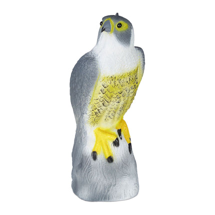 Un oiseau effraie un faucon assis