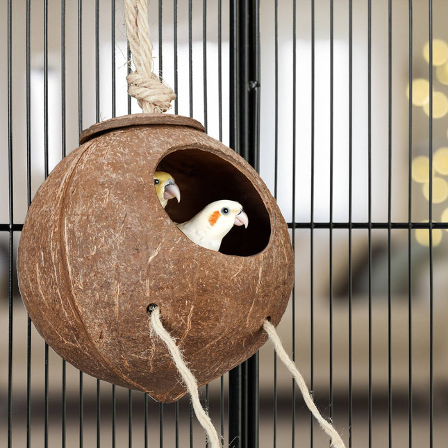 Vogelspielzeug mit Kokosnuss und Holzleiter