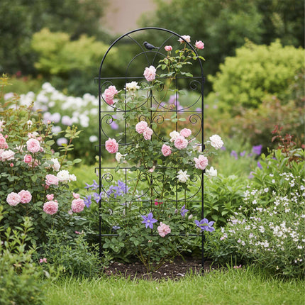 Ensemble de treillis en acier noir pour plantes grimpantes
