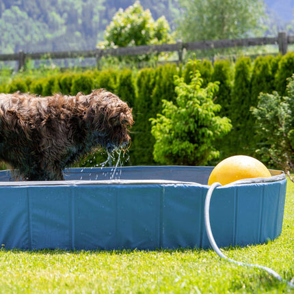 Blauer Hundepool