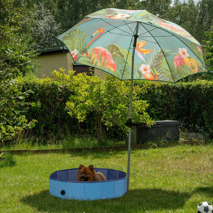 Blauer Hundepool