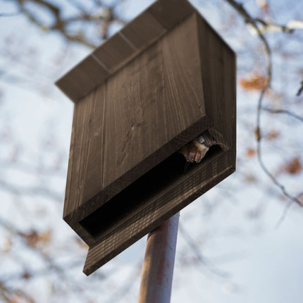 Nichoir à chauves-souris en bois de pin brun
