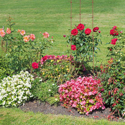Tuteurs pour plantes marron avec anneaux, 120 cm