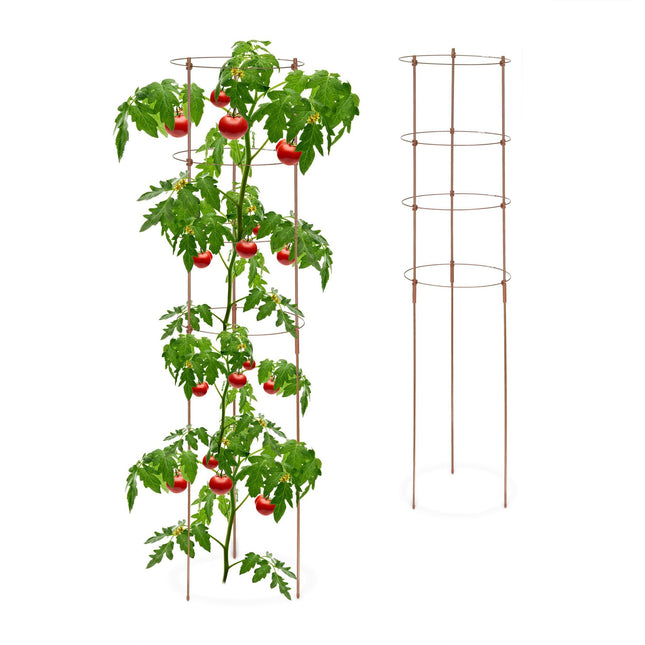 Tuteurs pour plantes marron avec anneaux, 120 cm
