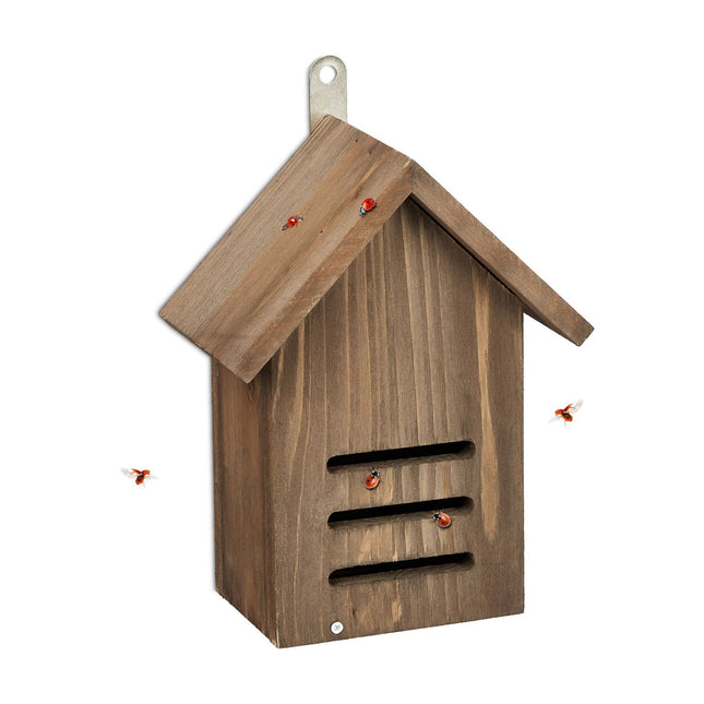 Maison de coccinelle en bois d'épicéa brun