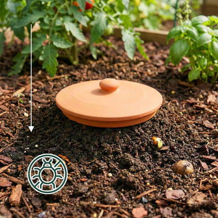 Buried Worm Composter with Lid for Garden Beds, Natural Clay, Terracotta