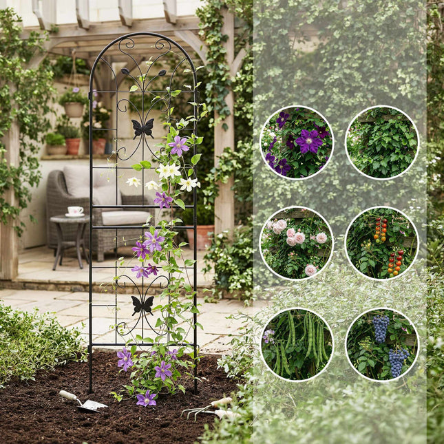 Ensemble de treillis papillon, 2 pièces - Supports métalliques pour plantes