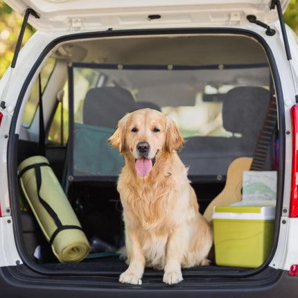 Filet de séparation de voiture pour chiens