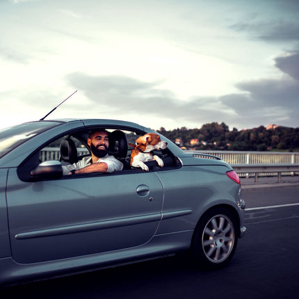 Voiture avec blocage de pédale