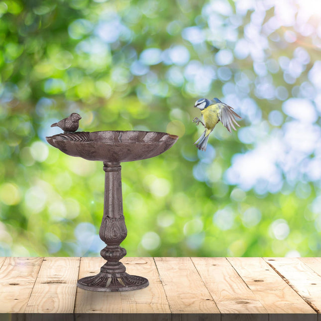 Bain d'oiseaux en fonte