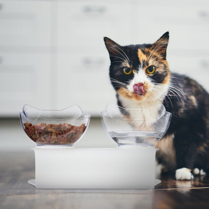 Station d'alimentation pour chat avec 2 bols antidérapants