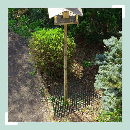 Tapis anti-chats à picots, lot de 20, pour le jardin