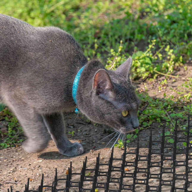 Tapis à picots anti-chats, lot de 6 pour jardin