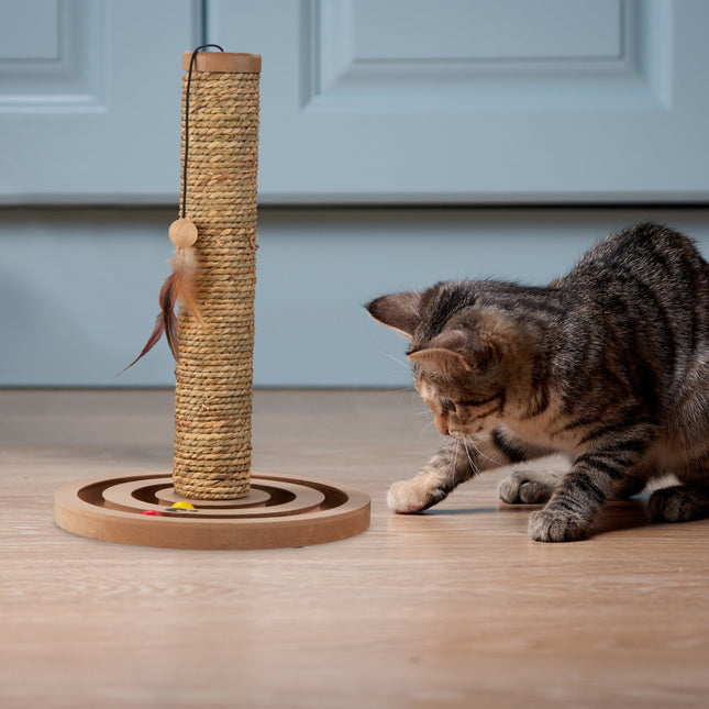 Arbre à chat avec corde et planche à jouets