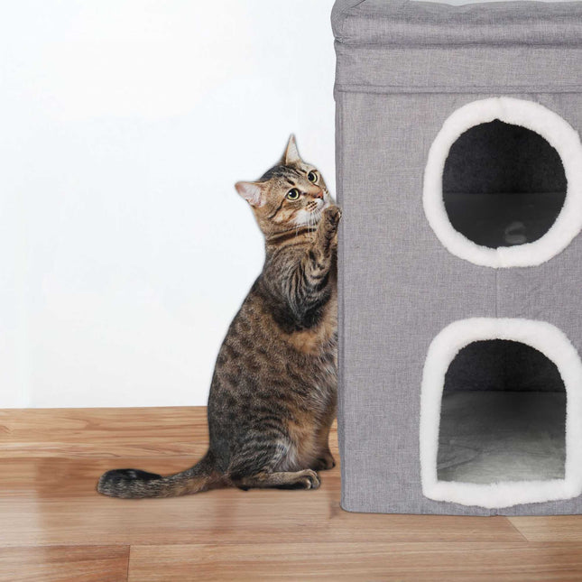 Grotte du chat 3 niveaux