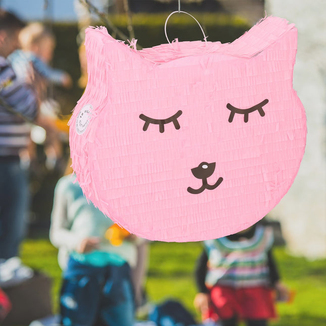 Pinata chat avec sucette et ver
