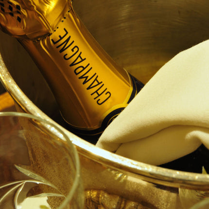Champagnerkühler-Schale aus Edelstahl
