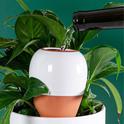 Gießtöpfe aus Ton mit Deckel, 350 ml, Weiß, 2er-Set