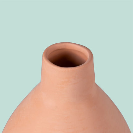 Ollas d'arrosage en argile, 1 L, lot de 2, pour irrigation souterraine