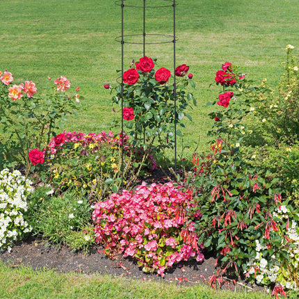 Rankhilfe 150 cm 2er-Set Schwarz