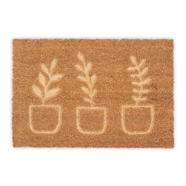 Plantes paillasson en noix de coco