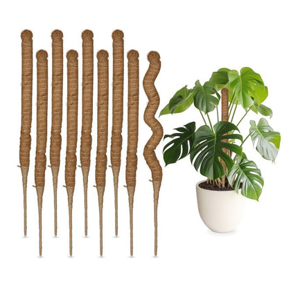 Kokosnussstäbe 60 cm