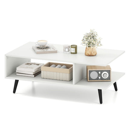 Table basse avec rangement, 2 niveaux, bois, pieds en métal, 80 x 45 x 30 cm