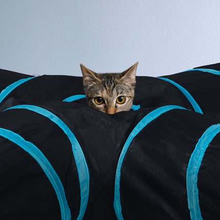 Tunnel pliable pour chat avec 4 allées