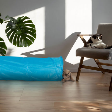 Tunnel pliable pour chat avec jouets