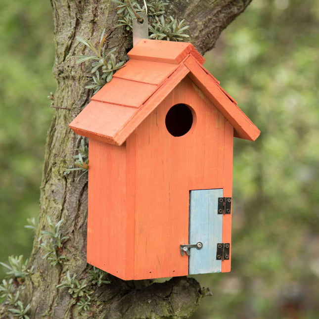 Buntes Vogelhaus