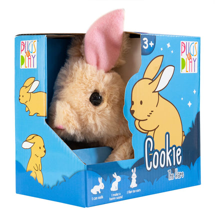 Jouet lapin sauteur Cookie pour carlins, jeu interactif