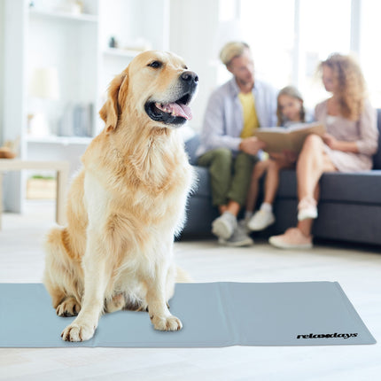 Tapis rafraîchissant pour chien