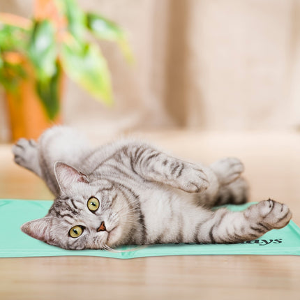 Tapis rafraîchissant pour chiens