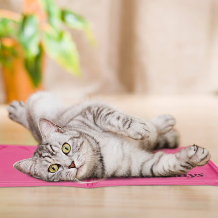 Tapis rafraîchissant pour chiens