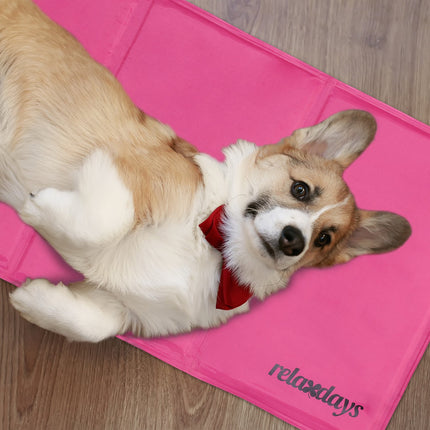 Tapis rafraîchissant pour chiens