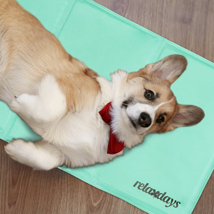 Tapis rafraîchissant pour chiens