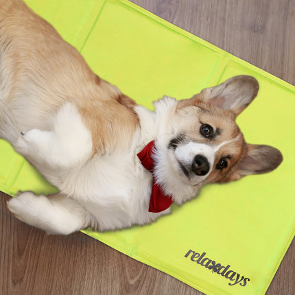 Tapis rafraîchissant pour chiens