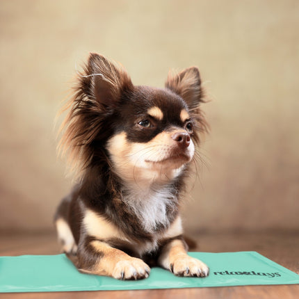 Kühlmatte für Hunde