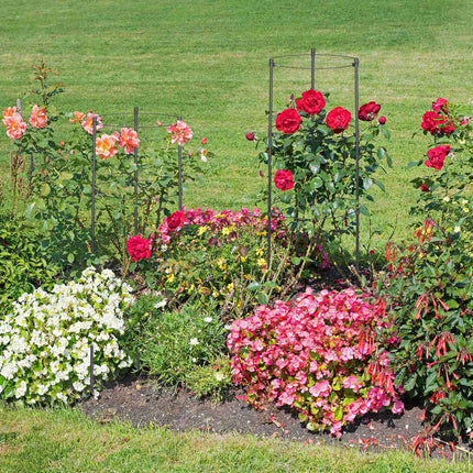 Creeper 60 cm Lot de 4