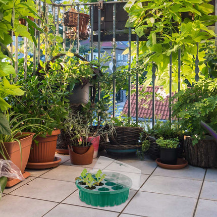 Serre de culture 13 compartiments lot de 2