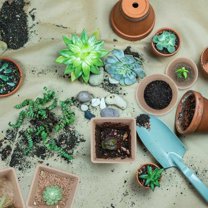Pot de culture, lot de 96 avec accessoires