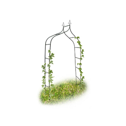 Arche de rosiers en métal courbée avec sommet pointu