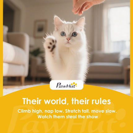 Lit de bureau pour chat avec rotation à 360°, hauteur réglable, gris