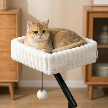 Desk Cat Bed with Adjustable Clamp and 360° Rotation, Hanging Ball, White