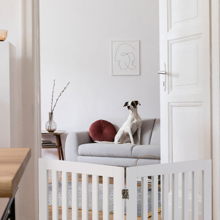 Clôture pour chien détachée