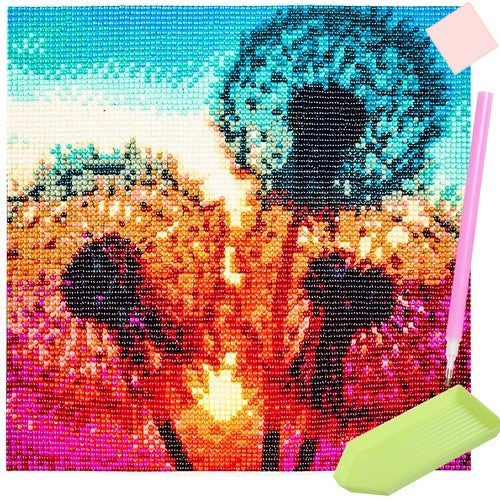 Mosaïque de broderie diamant H16212