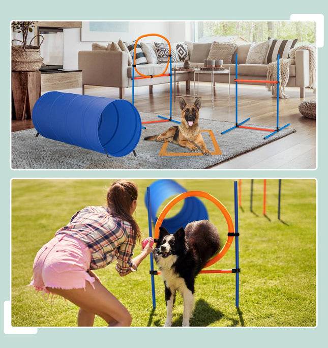 Parcours d'agilité pour chiens avec tunnel, haies et slalom